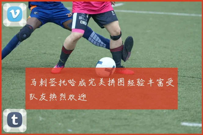 马刺签托哈成完美拼图经验丰富受队友热烈欢迎