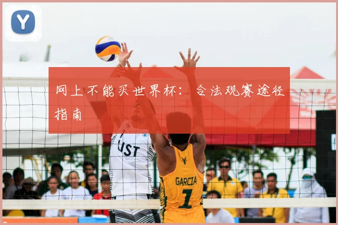 网上不能买世界杯：合法观赛途径指南