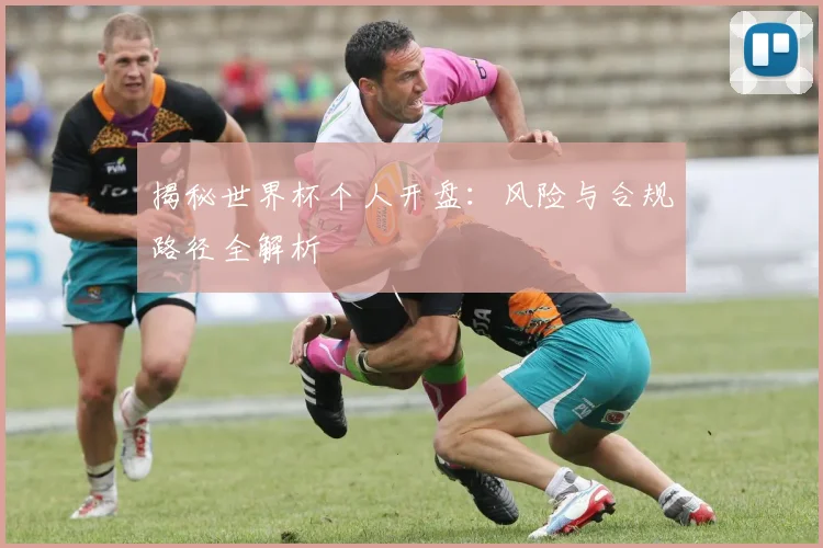揭秘世界杯个人开盘:风险与合规路径全解析