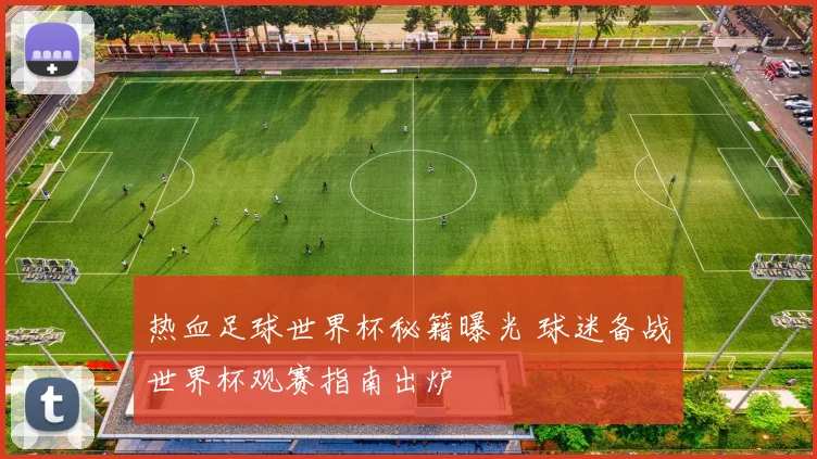 热血足球世界杯秘籍曝光 球迷备战世界杯观赛指南出炉