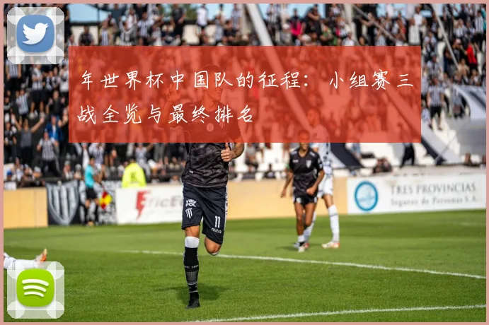 年世界杯中国队的征程：小组赛三战全览与最终排名