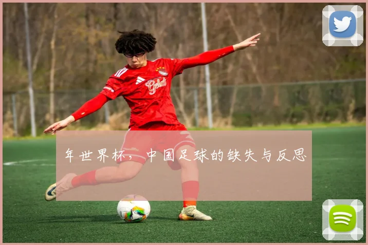 年世界杯，中国足球的缺失与反思