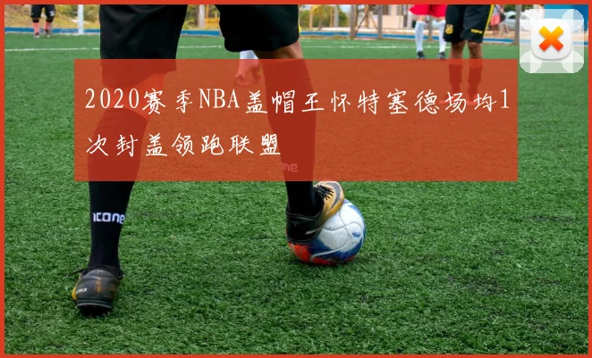 2020赛季NBA盖帽王怀特塞德场均1次封盖领跑联盟