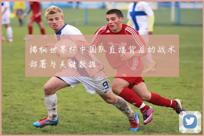 揭秘世界杯中国队直播背后的战术部署与关键数据