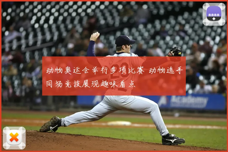 动物奥运会举行多项比赛 动物选手同场竞技展现趣味看点