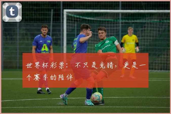 世界杯彩票:不只是竞猜,更是一个赛季的陪伴