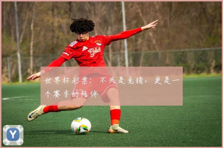 世界杯彩票:不只是竞猜,更是一个赛季的陪伴