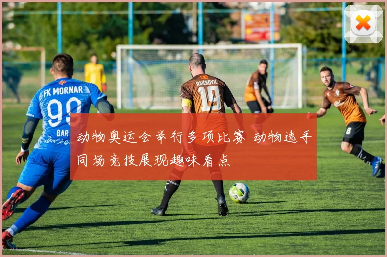 动物奥运会举行多项比赛 动物选手同场竞技展现趣味看点