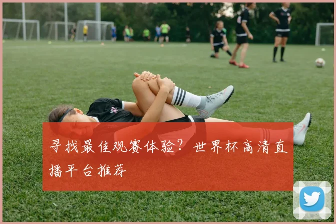 寻找最佳观赛体验?世界杯高清直播平台推荐