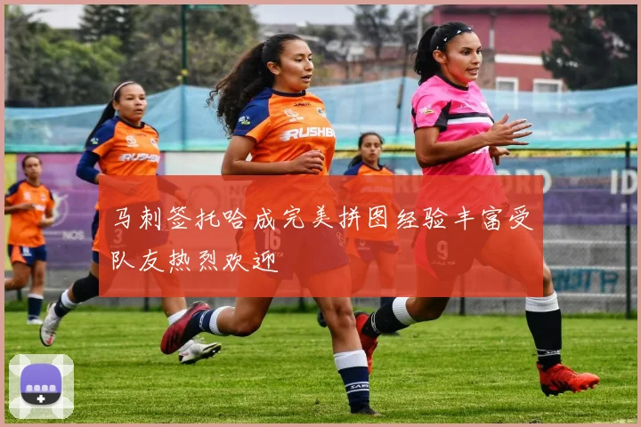 马刺签托哈成完美拼图经验丰富受队友热烈欢迎