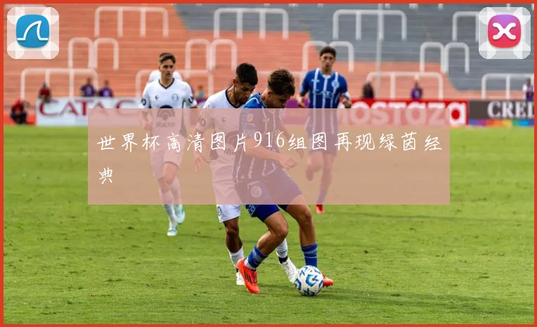 世界杯高清图片916组图再现绿茵经典