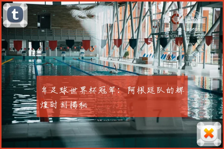 年足球世界杯冠军：阿根廷队的辉煌时刻揭秘