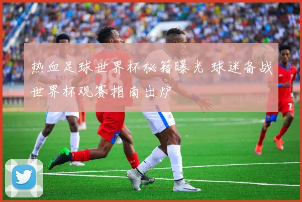 热血足球世界杯秘籍曝光 球迷备战世界杯观赛指南出炉