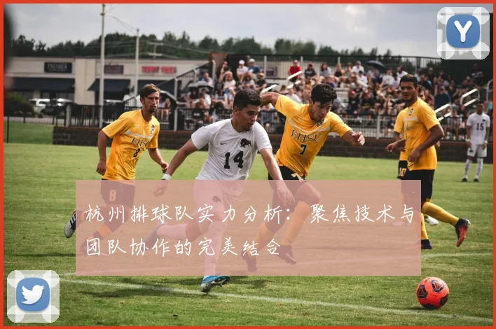 杭州排球队实力分析：聚焦技术与团队协作的完美结合