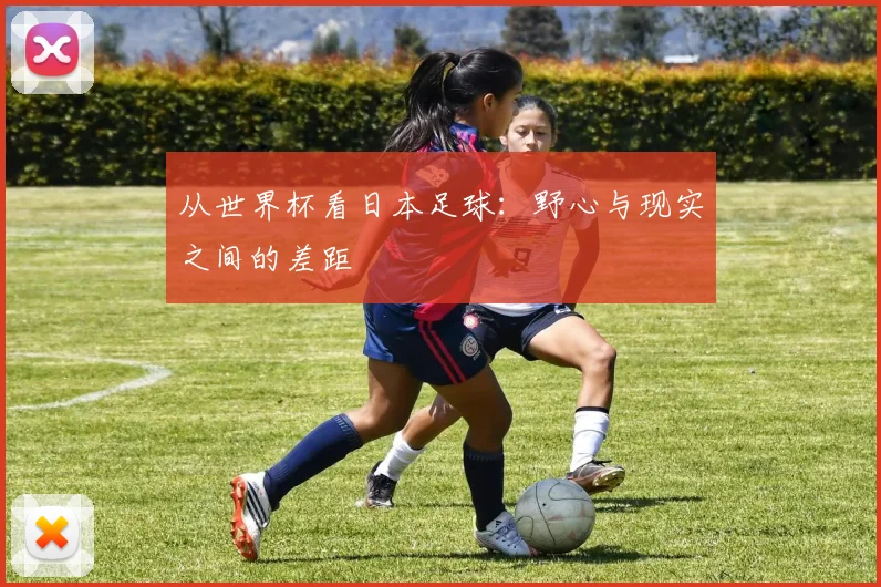 从世界杯看日本足球：野心与现实之间的差距