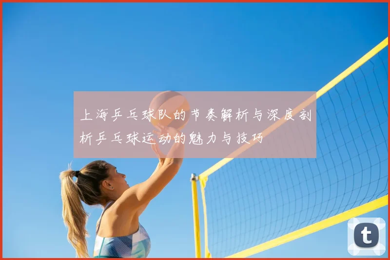 上海乒乓球队的节奏解析与深度剖析乒乓球运动的魅力与技巧